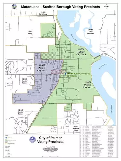 Voting Precinct Map